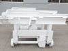 Auto-mobile bridge