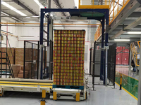 Automatic Arm Wrapping Machine