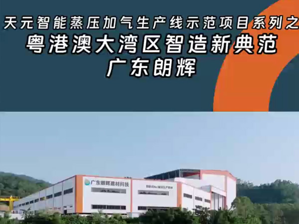Guangdong Langhui: A New Model of Intelligent Manufacturing in the Guangdong - Hong Kong - Macao Greater Bay Area